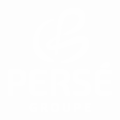 Groupe Persé